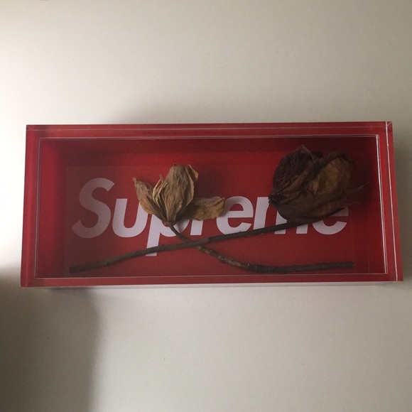 Meet your Posher, Sary - Picture 1 of 1